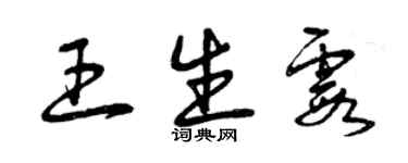 曾庆福王生霞草书个性签名怎么写