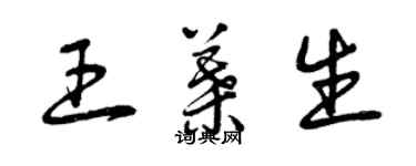 曾庆福王叶生草书个性签名怎么写