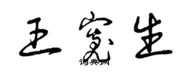 曾庆福王宽生草书个性签名怎么写