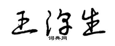 曾庆福王淳生草书个性签名怎么写