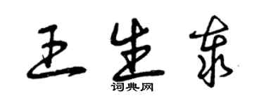 曾庆福王生泰草书个性签名怎么写