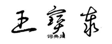 曾庆福王宝泰草书个性签名怎么写