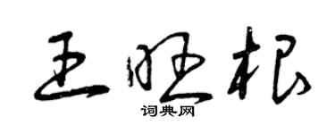 曾庆福王旺根草书个性签名怎么写