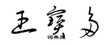 曾庆福王宝多草书个性签名怎么写