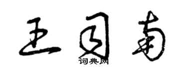 曾庆福王司南草书个性签名怎么写