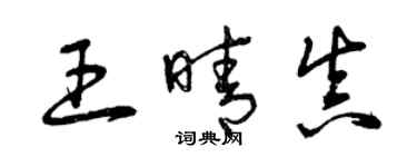 曾庆福王晴真草书个性签名怎么写