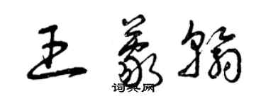 曾庆福王蒙翰草书个性签名怎么写
