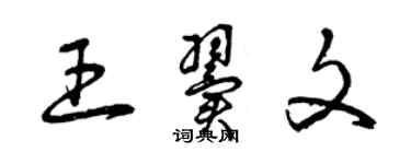 曾庆福王翼文草书个性签名怎么写