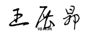曾庆福王展昂草书个性签名怎么写