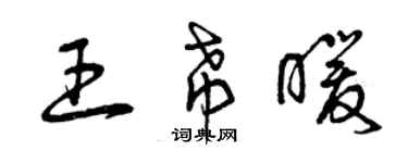曾庆福王希暖草书个性签名怎么写