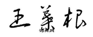 曾庆福王叶根草书个性签名怎么写