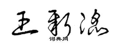 曾庆福王新滔草书个性签名怎么写