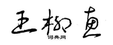 曾庆福王柳惠草书个性签名怎么写