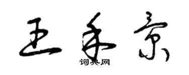 曾庆福王禾景草书个性签名怎么写