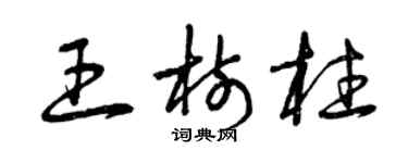 曾庆福王树柱草书个性签名怎么写