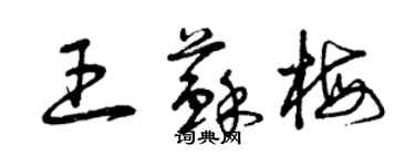 曾庆福王苏梅草书个性签名怎么写