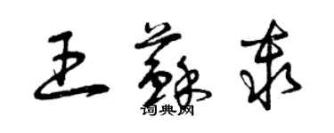 曾庆福王苏秦草书个性签名怎么写