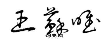 曾庆福王苏唯草书个性签名怎么写
