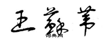 曾庆福王苏苇草书个性签名怎么写