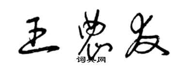 曾庆福王农友草书个性签名怎么写