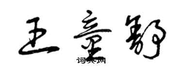 曾庆福王童舒草书个性签名怎么写