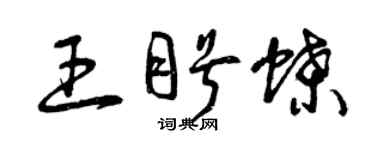 曾庆福王盼蝶草书个性签名怎么写