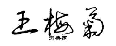 曾庆福王梅菊草书个性签名怎么写