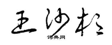 曾庆福王沙杉草书个性签名怎么写