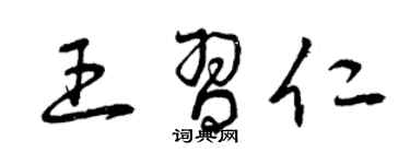 曾庆福王习仁草书个性签名怎么写