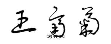 曾庆福王齐菊草书个性签名怎么写