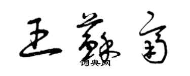 曾庆福王苏齐草书个性签名怎么写