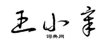 曾庆福王小章草书个性签名怎么写