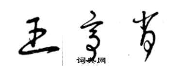 曾庆福王亭肖草书个性签名怎么写