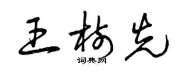 曾庆福王树先草书个性签名怎么写