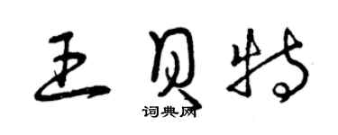 曾庆福王贝特草书个性签名怎么写