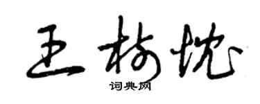 曾庆福王树忱草书个性签名怎么写