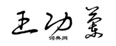 曾庆福王功兰草书个性签名怎么写