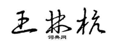 曾庆福王林杭草书个性签名怎么写