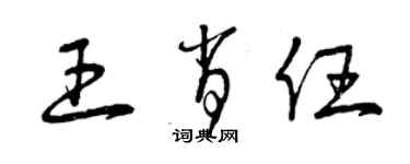 曾庆福王肖任草书个性签名怎么写