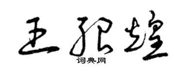 曾庆福王绍煌草书个性签名怎么写