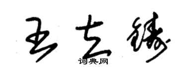 朱锡荣王立铸草书个性签名怎么写