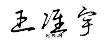 曾庆福王准宇草书个性签名怎么写