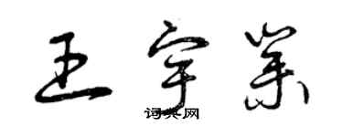 曾庆福王宇业草书个性签名怎么写