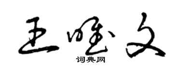 曾庆福王唯文草书个性签名怎么写
