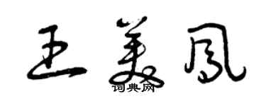 曾庆福王美凤草书个性签名怎么写
