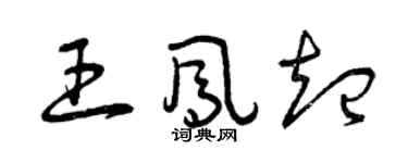 曾庆福王凤起草书个性签名怎么写