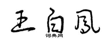 曾庆福王白凤草书个性签名怎么写