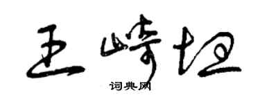 曾庆福王崎坦草书个性签名怎么写