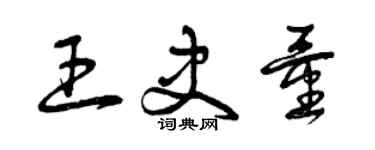 曾庆福王史量草书个性签名怎么写