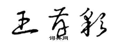 曾庆福王存彩草书个性签名怎么写